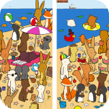 Differences - Spot Them